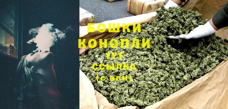 Бошки Шишки SATIVA & INDICA  гидра   Городовиковск  хочу  